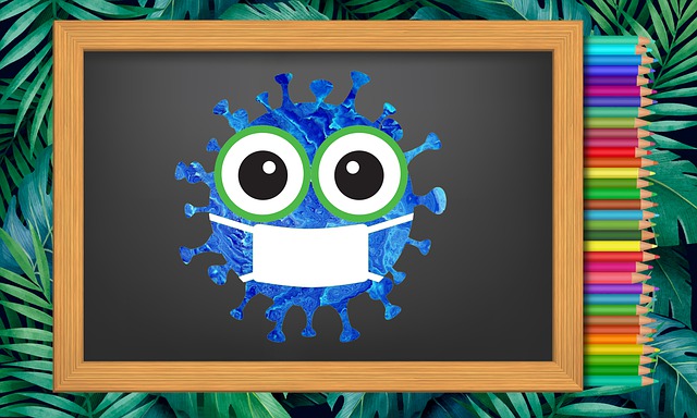 Informace k provozu škol od 18. 11 2020